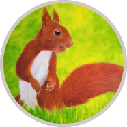 Eichhörnchen Profilbild