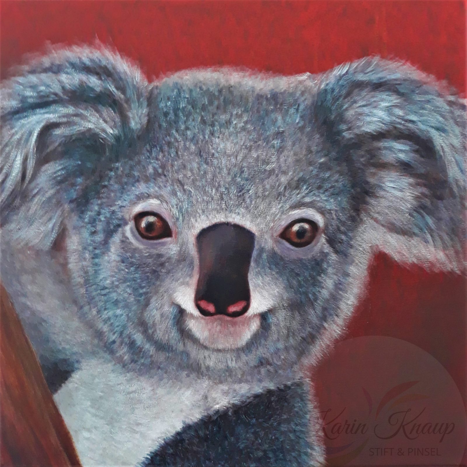 Koalabär - Acryl auf Leinwand, 50 x 50 cm