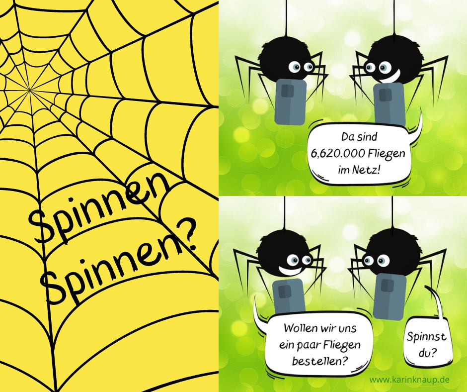 Comic - spinnen Spinnen?